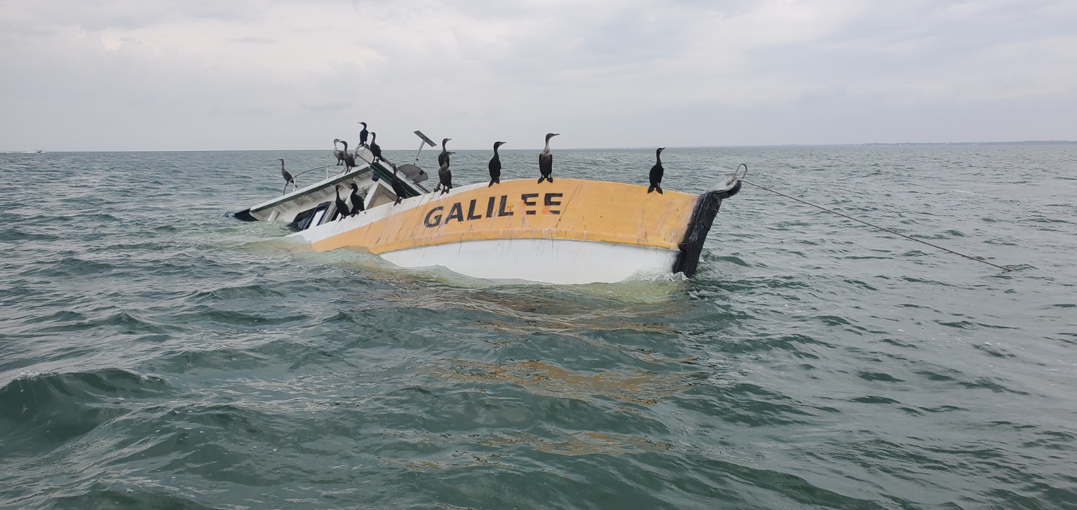 Partially submerged vessel with birds
