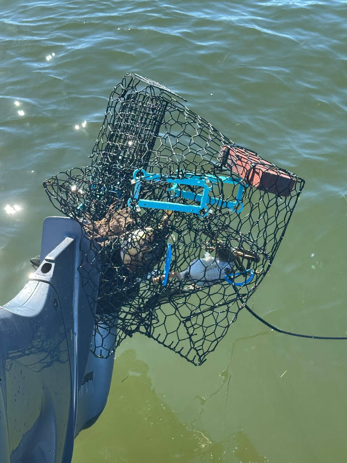 Recovered trap and marine debris
