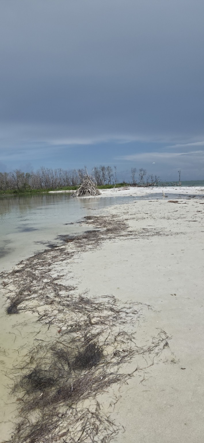 Changing shoreline